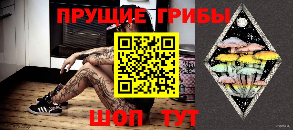 Галлюциногенные грибы Psilocybe  Вход с VPN  Псилоцибиновые грибы ЛСД  Феодосия 