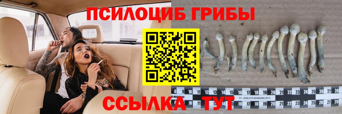 Псилоцибиновые грибы ЛСД Феодосия